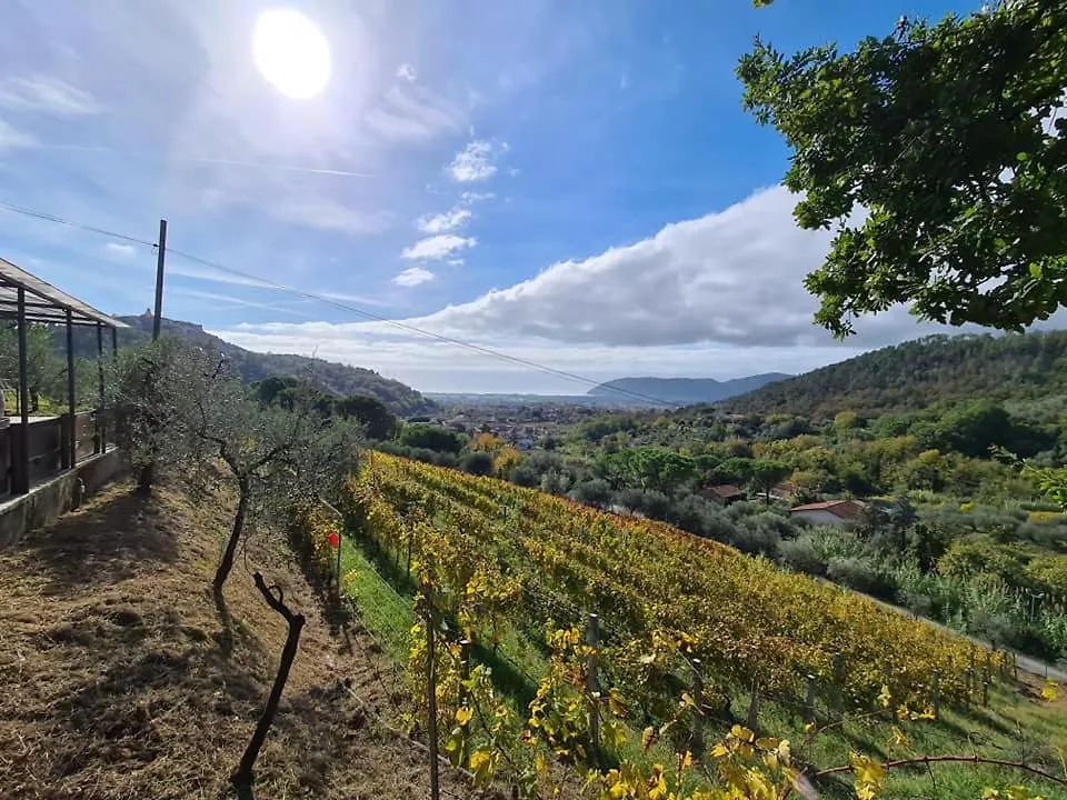 Agriturismo La Carreccia Luni