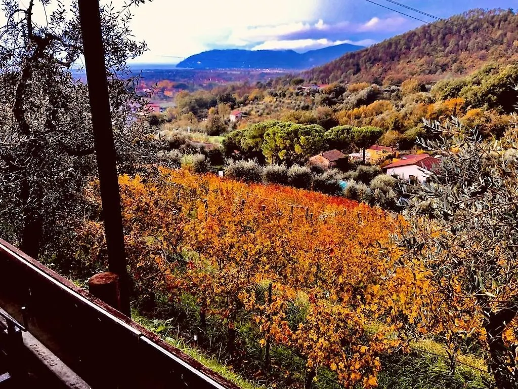 Agriturismo La Carreccia Luni Aparthotel