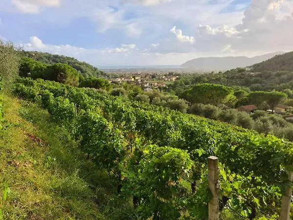 Agriturismo La Carreccia Luni